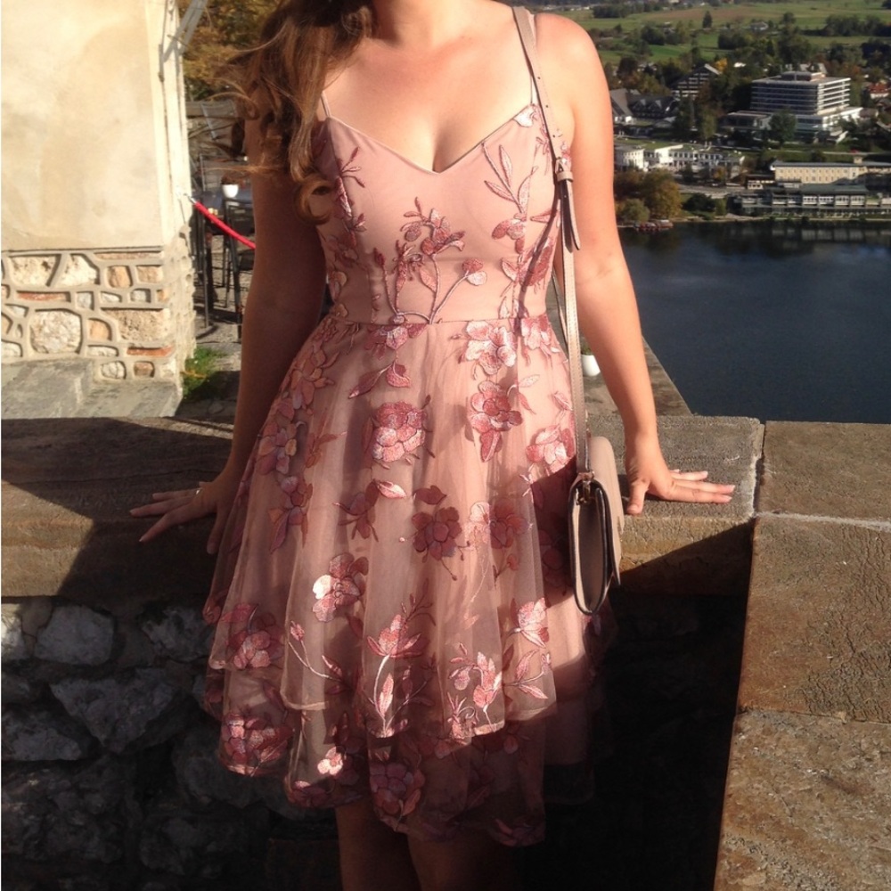 Forever New Rose Pink Floral Embroidered Mini Dress